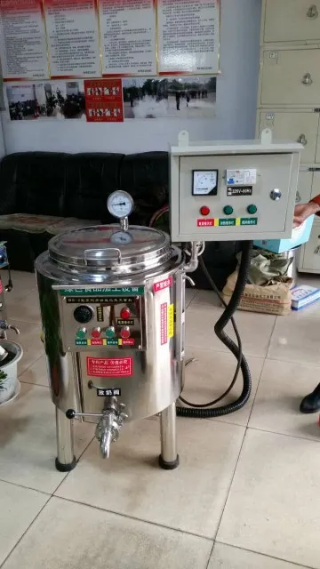 mini milk pasteurization machine