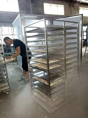 french fries blast freezer with trolley