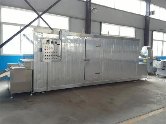 vegetable beef blast freezer for sale